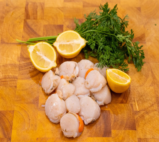 12 Fresh Devon Scallops
