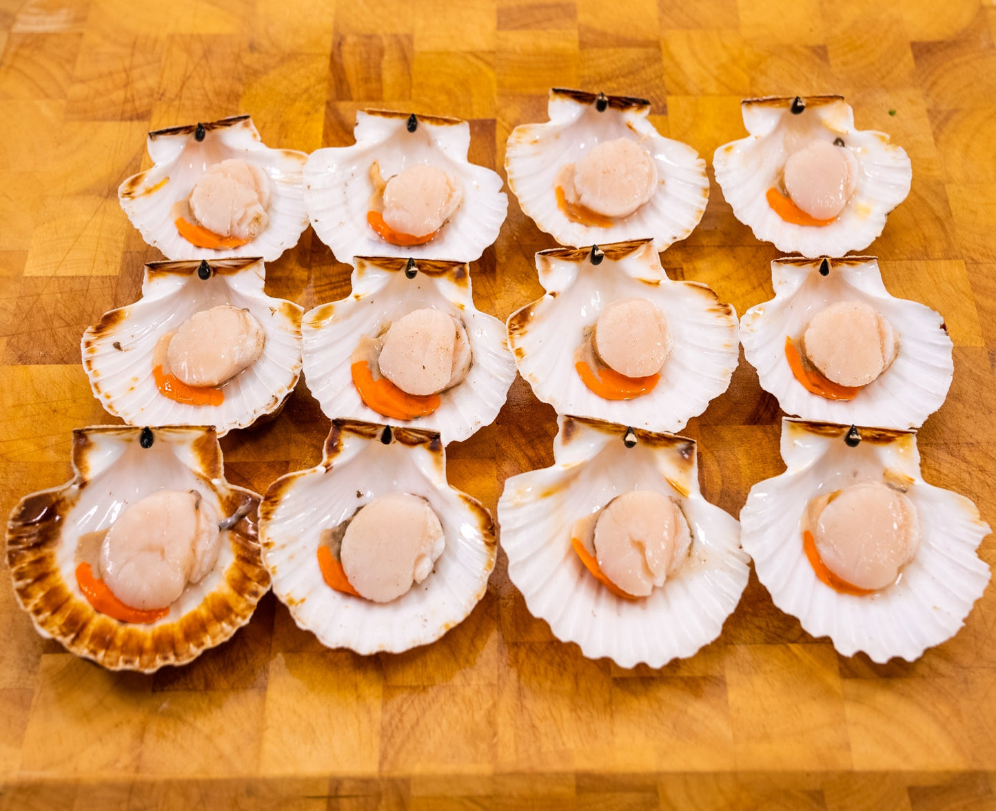 Dozen Half Shell Scallops (12)