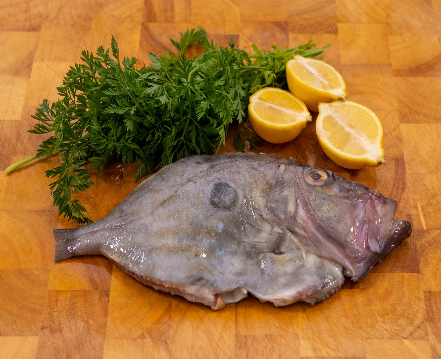 Whole John Dory (700-1kg)