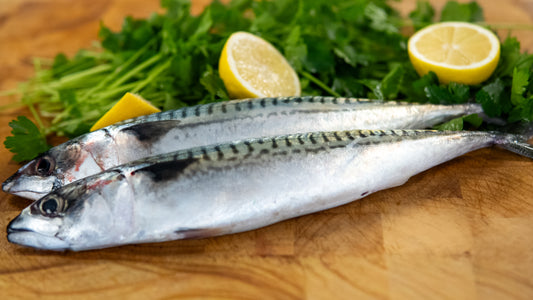 Mackrel