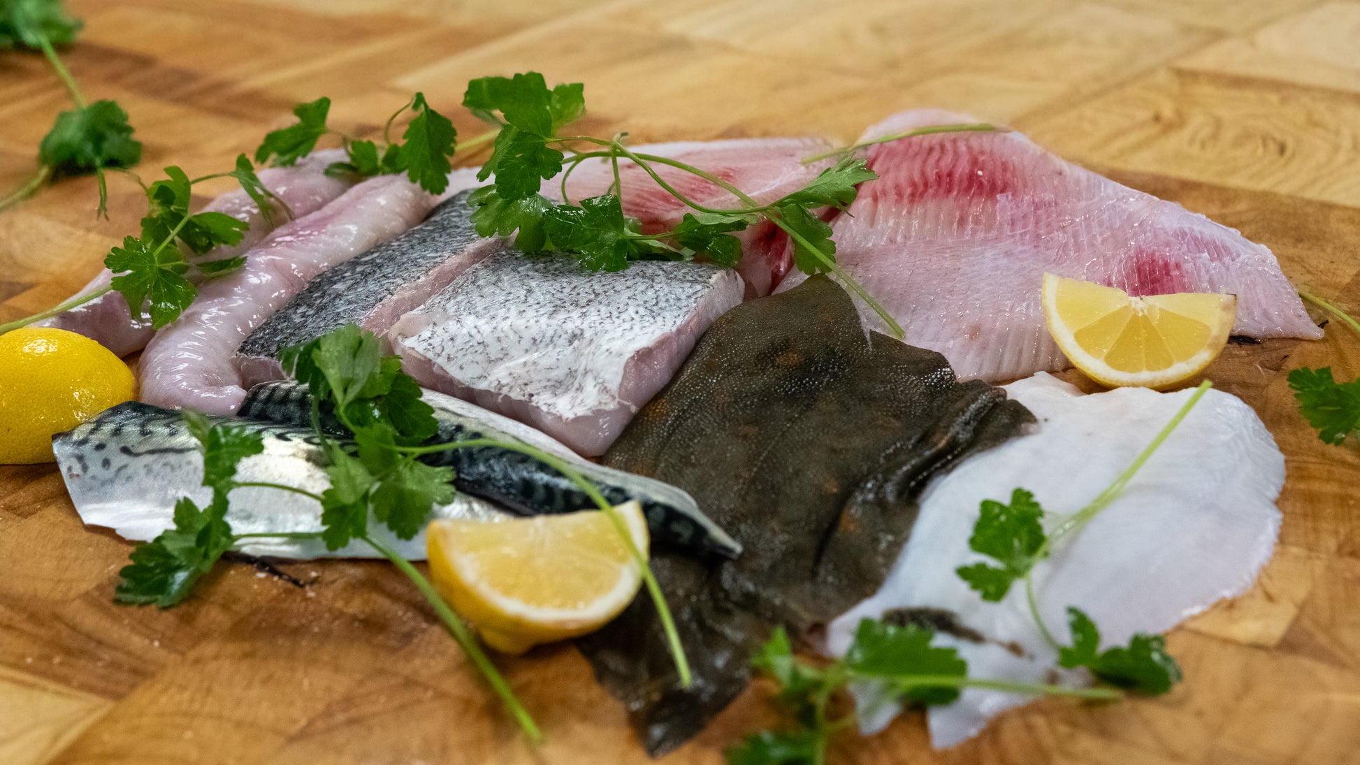 brixham fish box delivery Catch of the Day Regular Box (10 portions) Brixham Fish Market Fresh