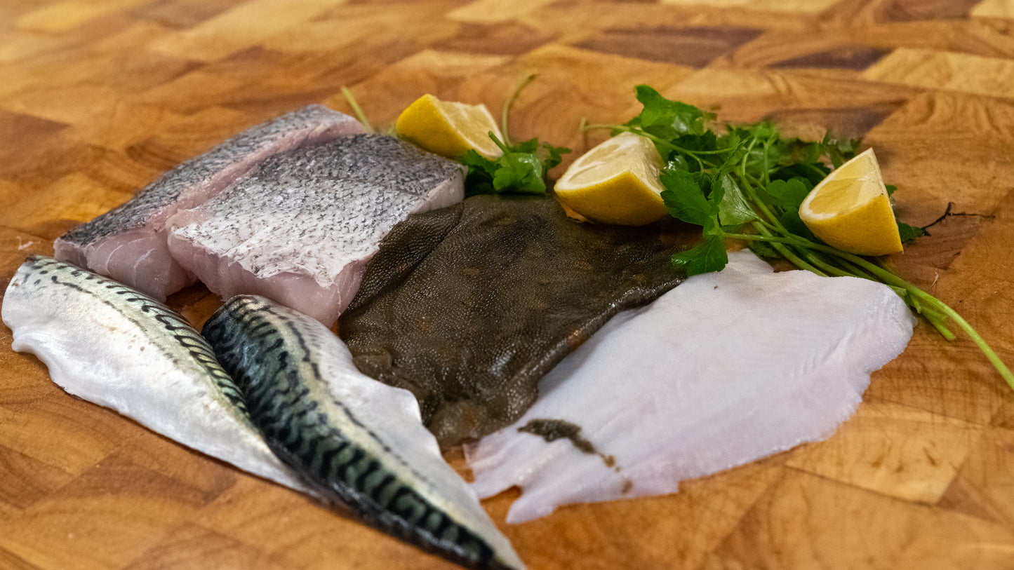 Small Catch of the Day Fillet Box  - 6 portions