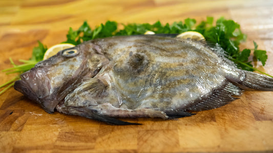 John Dory
