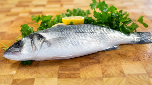 Wild Seabass