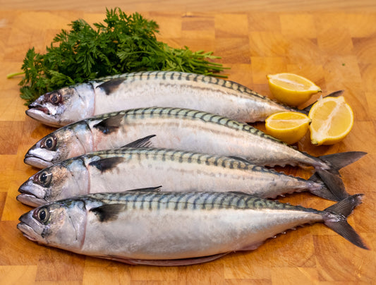 4X Brixham Mackerel (x4 - whole - gutted, ready to cook)